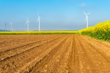 Unlocking Growth in Rural Britain: Digital Tools and AI Beyond London