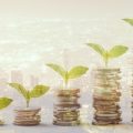 Niche Crowdfunding Platforms in the UK: From Creative Arts to Real Estate